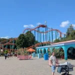 Condor
